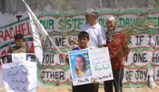 square image representing the wisconsin-coalition-for-justice-in-palestine-marks-two-years-of-genocide-in-gaza element.